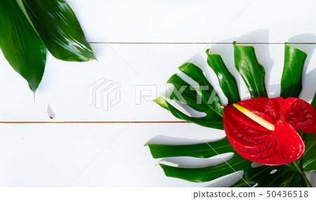 Summer flat lay scenery on white boards 50436518