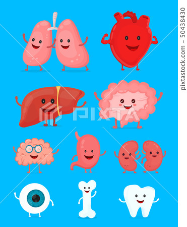 Cute smiling happy human healthy strong organs set - Stock Illustration ...
