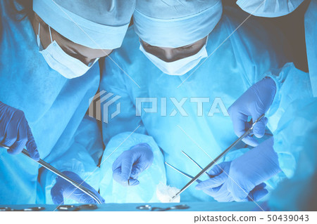 Group of surgeons at work while operating at hospital. Health care and veterinary concept 50439043