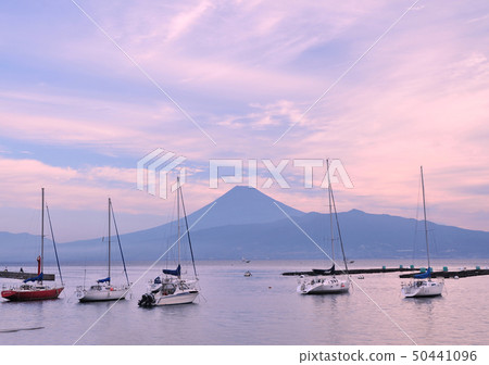 Yacht and Mt. Fuji-8395 50441096