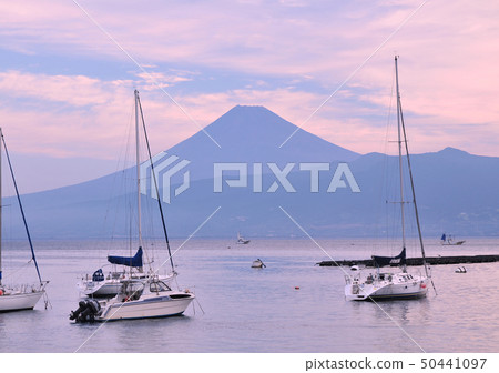 Yacht and Mt. Fuji-8396 Yacht and Mt. Fuji-8396 50441097