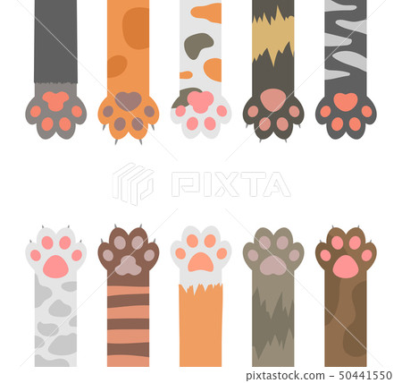 Cartoon Color Cats Paw Different Types Set. Vector Cartoon Color Cats Paw Different Types Set. Vector 50441550