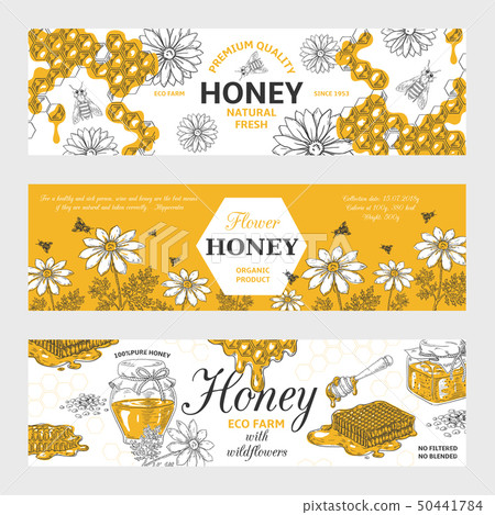 Honey labels. Honeycomb and bees vintage sketch background, hand drawn organic food retro design 50441784