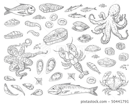 Hand drawn seafood. Octopus squid crab oyster and marine fish sketch drawing for restaurant menu 50441791