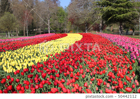 Gardens of Cheverny Castle Gardens of Cheverny Castle 50442112