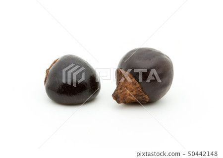 Guarana Guarana種子:瓜拉納種子 Guarana Guarana種子:瓜拉納種子 50442148