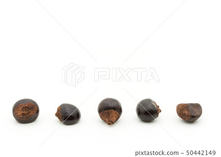 Guarana Guarana種子:瓜拉納種子 Guarana Guarana種子:瓜拉納種子 50442149