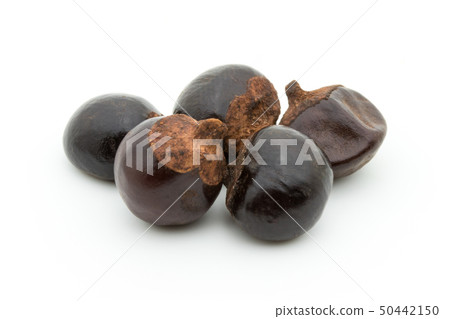 Guarana Guarana種子:瓜拉納種子 Guarana Guarana種子:瓜拉納種子 50442150