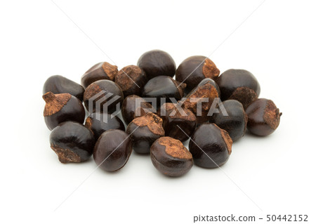 Guarana Guarana種子:瓜拉納種子 Guarana Guarana種子:瓜拉納種子 50442152