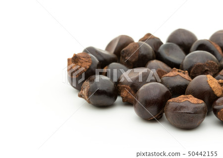 Guarana Guarana種子：瓜拉納種子 50442155