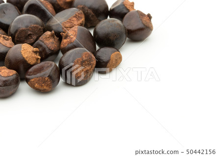 Guarana Guarana種子：瓜拉納種子 50442156