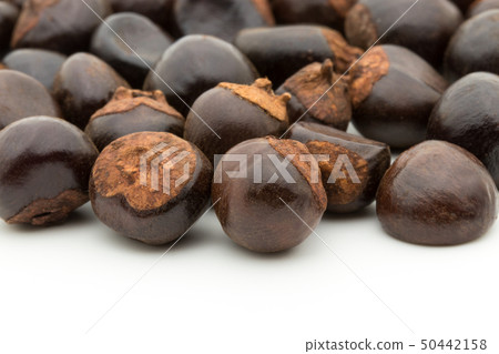 Guarana Guarana種子:瓜拉納種子 Guarana Guarana種子:瓜拉納種子 50442158