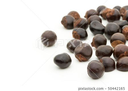 Guarana Guarana種子:瓜拉納種子 Guarana Guarana種子:瓜拉納種子 50442165