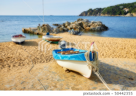 Traditional boats in a Spanish town 50442355