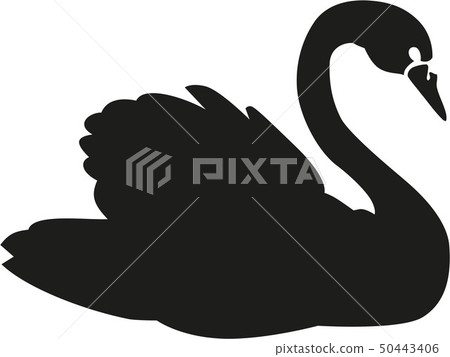 swan_real_details.eps 50443406