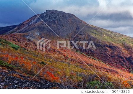 Nasu and Chausudake of autumn leaves seen from near Hinodeira 50443835