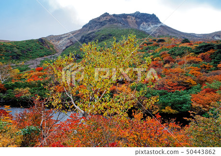 Chausu-dake從彩色葉子Nasu和Obigataira看到的fusuma上升 50443862