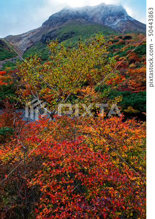 Chausu-dake從彩色葉子Nasu和Obigataira看到的fusuma上升 50443863