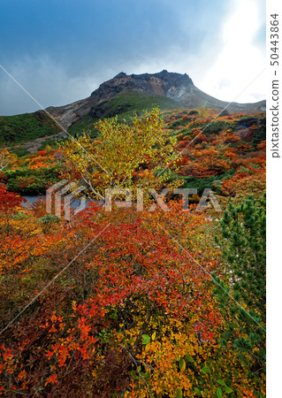 Chausu-dake從彩色葉子Nasu和Obigataira看到的fusuma上升 50443864