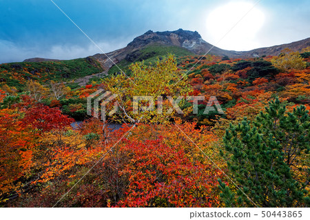 Chausu-dake從彩色葉子Nasu和Obigataira看到的fusuma上升 50443865