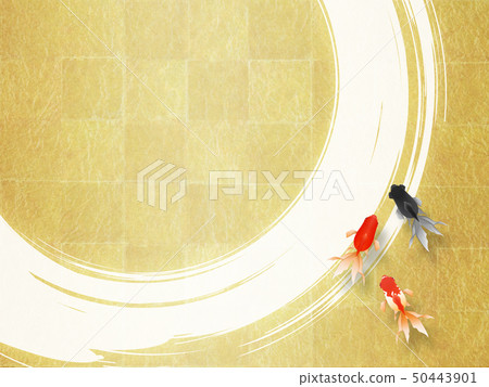 金魚 50443901
