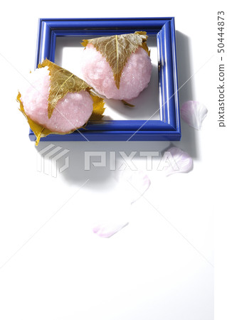 Cherry blossoms and petals and forehead 50444873