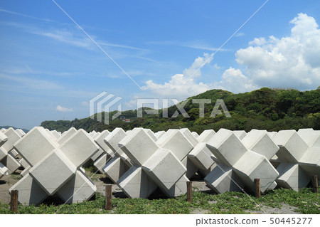 除水塊儲備（富津市） 50445277