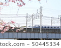 Sakura and Shinkansen 50445334