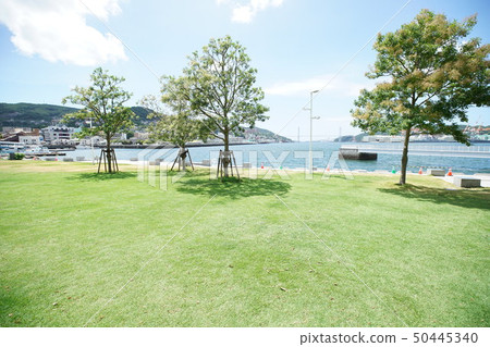 水邊森林公園 水邊森林公園 50445340