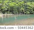 Aoi Miri Pond 50445362