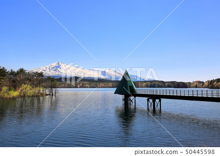 大谷地池 50445598