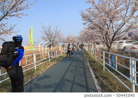 Tsukuba Kasumigaura Rin Lin Road Tsukuba Kasumigaura Rin Lin Road 50445840
