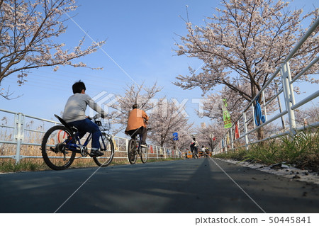Tsukuba Kasumigaura Rin Lin Road Tsukuba Kasumigaura Rin Lin Road 50445841