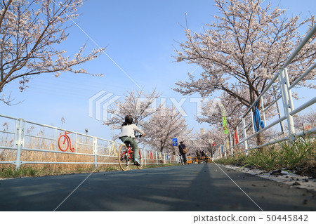 Tsukuba Kasumigaura Rin Lin Road 50445842