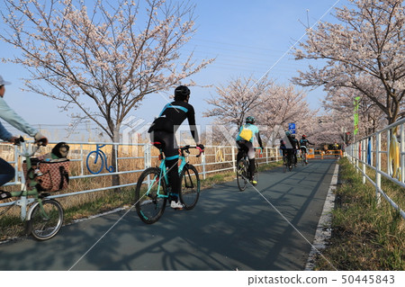 Tsukuba Kasumigaura Rin Lin Road Tsukuba Kasumigaura Rin Lin Road 50445843
