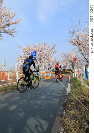 Tsukuba Kasumigaura Rin Lin Road Tsukuba Kasumigaura Rin Lin Road 50445845