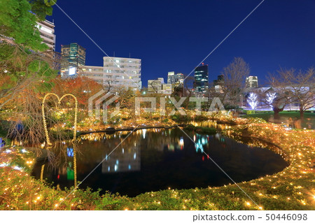 Illumination of Mouri garden 50446098