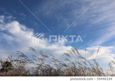 Aki Susuki Aki Susuki 50446194