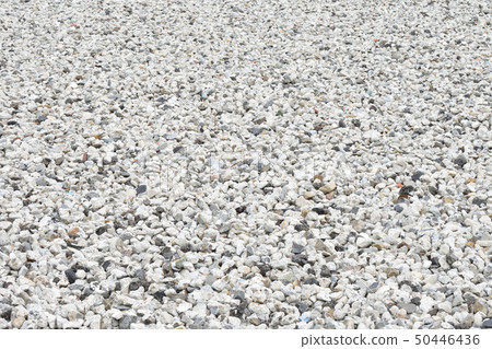 Rubble Rubble 50446436