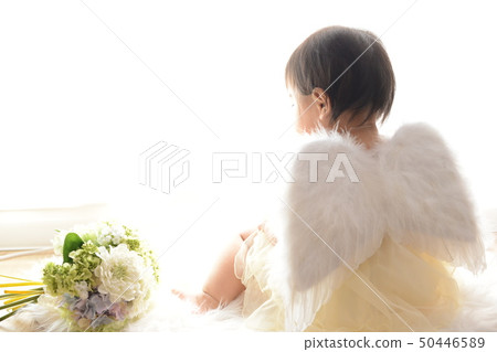 天使 天使 50446589