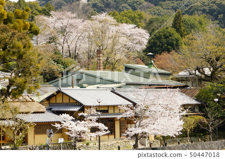 Ujigawa東視圖 Ujigawa東視圖 50447018