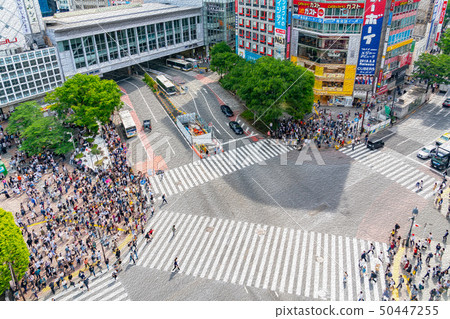 [Tokyo] Shibuya scramble intersection 50447255