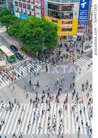 [Tokyo] Shibuya scramble intersection 50447269