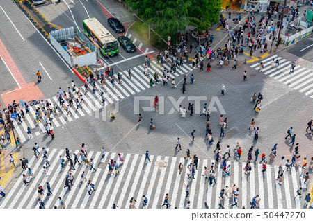 [Tokyo] Shibuya scramble intersection 50447270