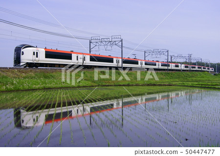 Narita Express-Sobu Main Line初夏 50447477