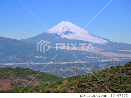 伊豆天際線-8311富士山 50447565
