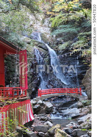 流浪者塔基 50447810