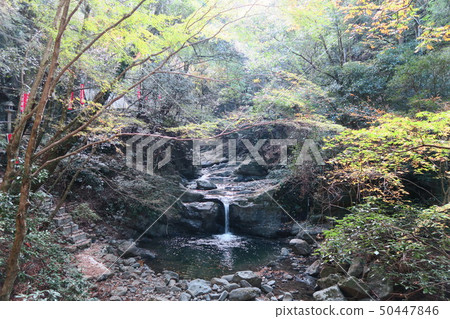 Inunakiyama 50447846