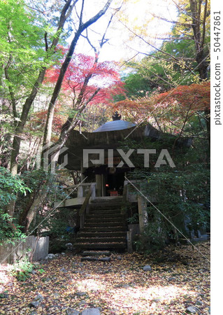 虛空藏菩薩DONO 50447861