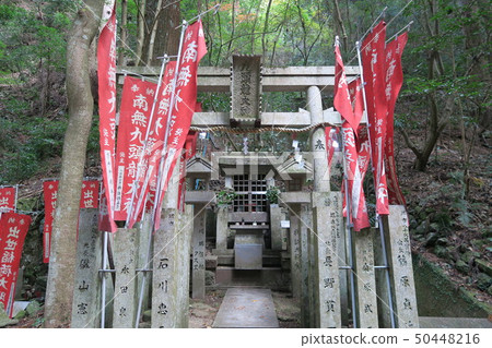 Kyuryu Okami 50448216